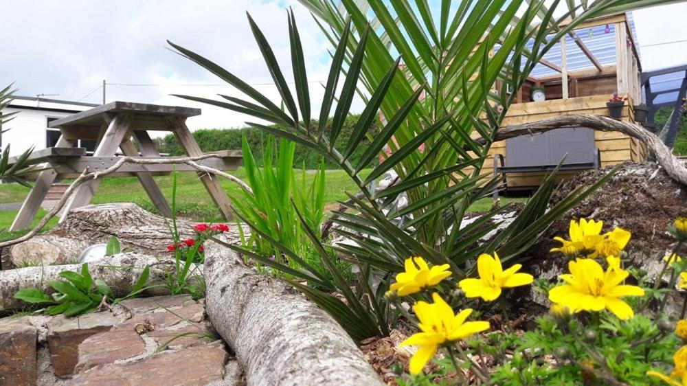 Greenways Valley Holiday Park غريت تورينغتون المظهر الخارجي الصورة