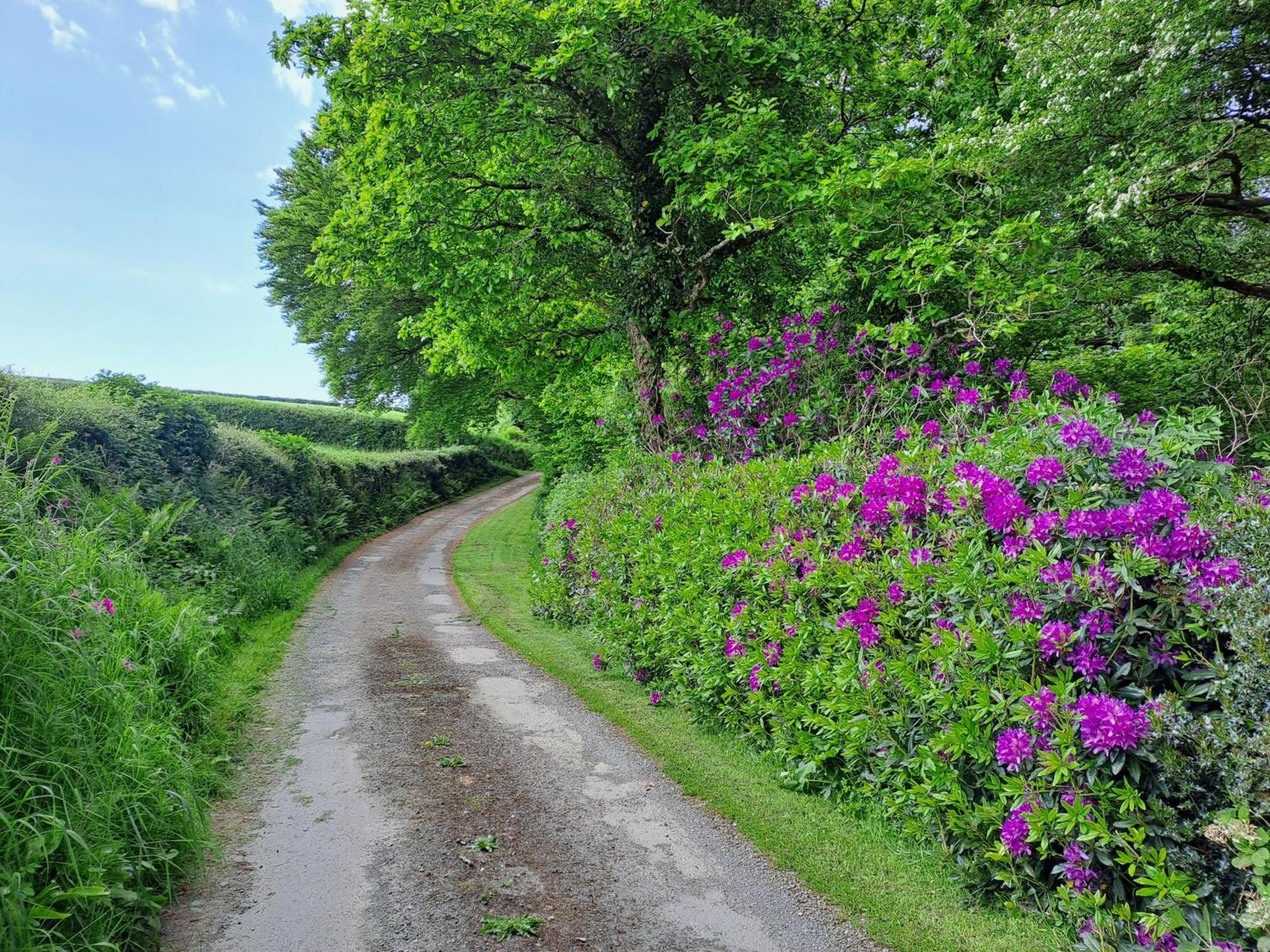 Greenways Valley Holiday Park غريت تورينغتون المظهر الخارجي الصورة